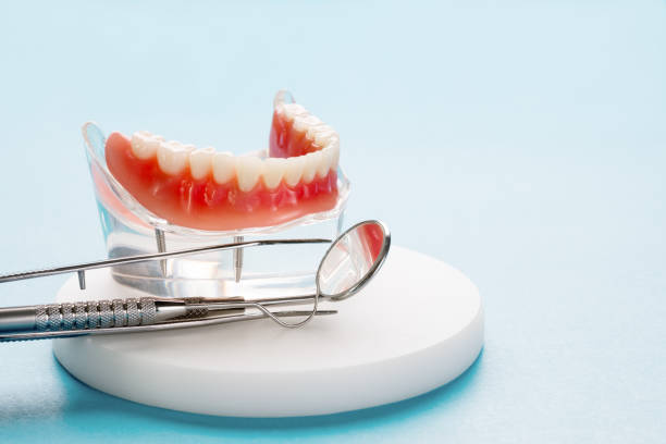 Best Pediatric Dentistry  in Fort Lee, NJ
